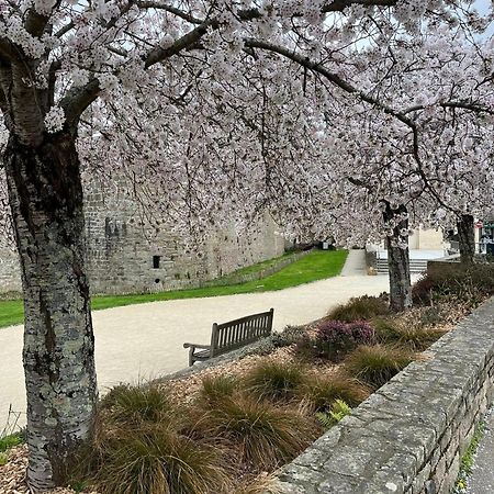 La Casa De Sophie T3 Avec Jardinet, Parking Prive - Port De Vannes Eksteriør billede